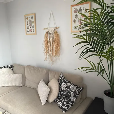 Apartament Florida 116 *