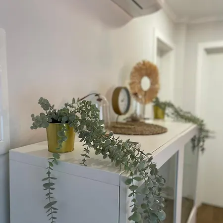 Florida 116 Lägenhet